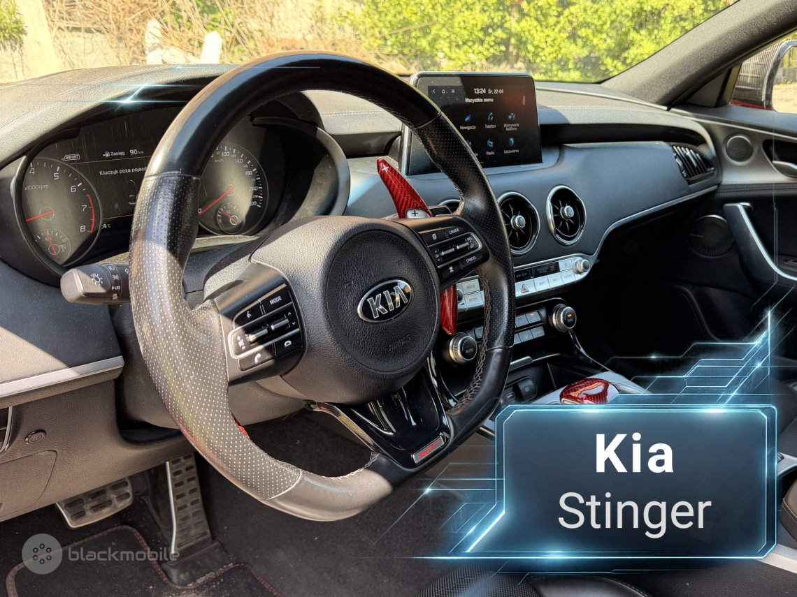 Nasza realizacja przeprowadzona w Kia Stinger GT2